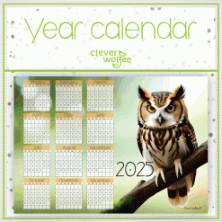 Owl Year calendar 2025