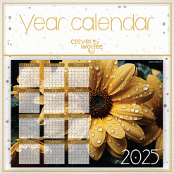 Sunflower 3 Year calendar 2025