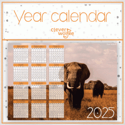 Elephant 2 Year calendar 2025