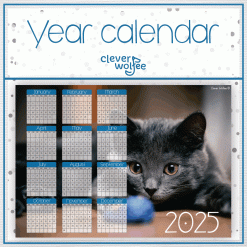 Cat 2 Year calendar 2025