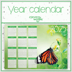 Butterfly 3 Year calendar 2025