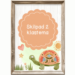 Klastema - skilpad 2