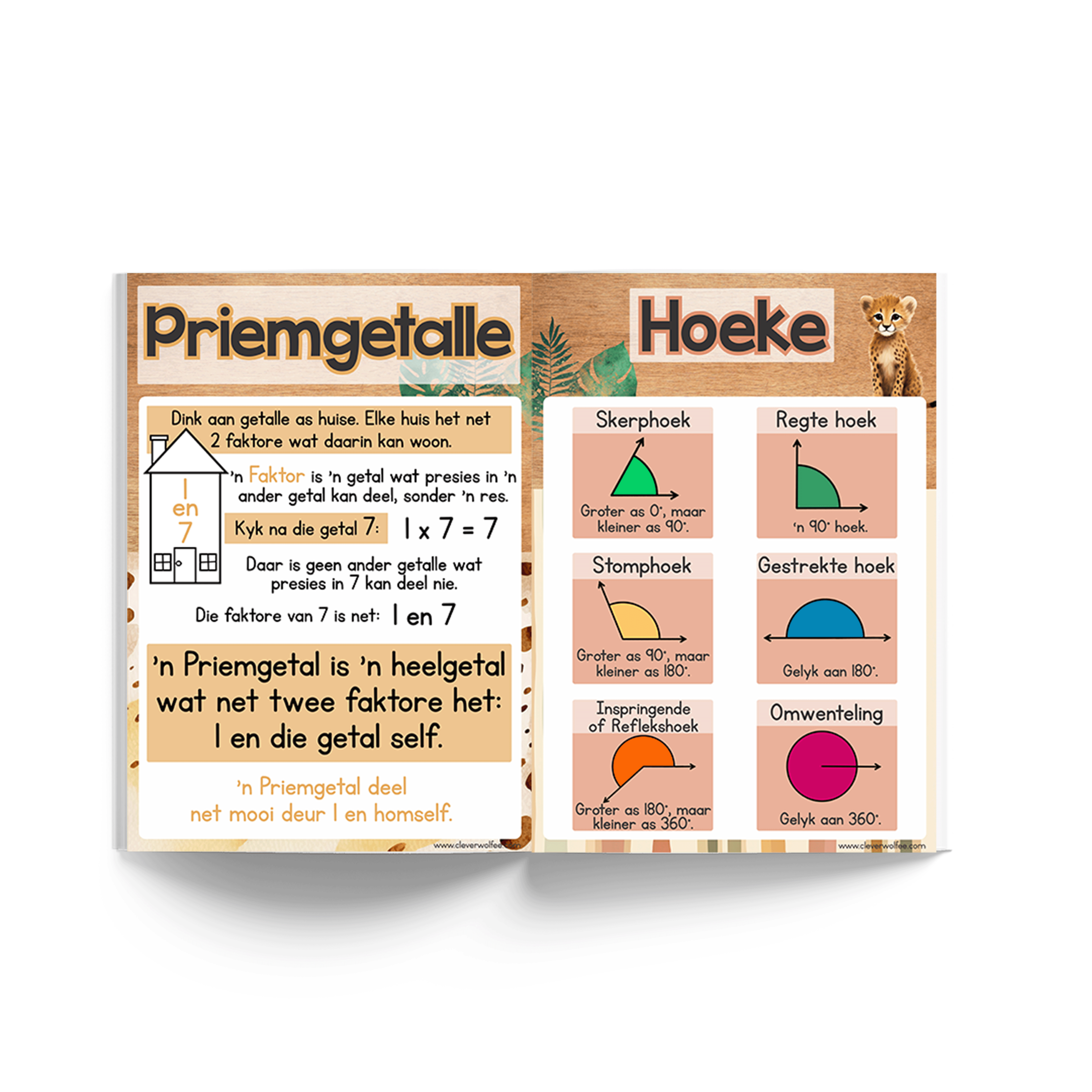 Wiskunde Plakkate Bundel - Boho tropies - Image 4