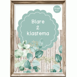 Intermediêre Klastema - Blare 2