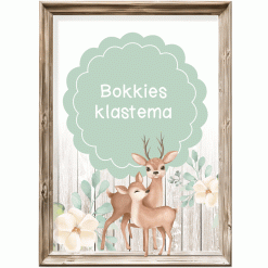 Klastema - bokkies