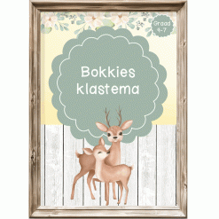 Intermediêre Klastema - Bokkies
