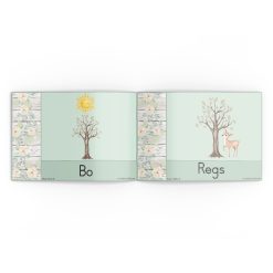 Alternative view of Voorsetsels - Bokkies