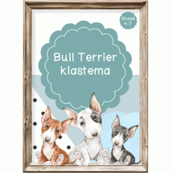 Intermediêre Klastema - Bull Terrier