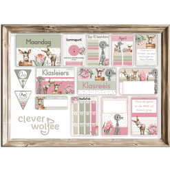 Alternative view of Intermediêre Klastema - Moderne donkie en protea