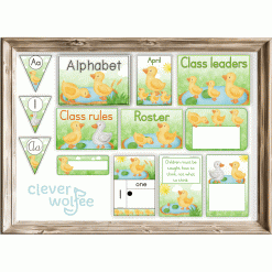 Alternative view of Class theme - ducks 2