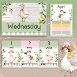 Alternative view of Goose class theme – Preschool