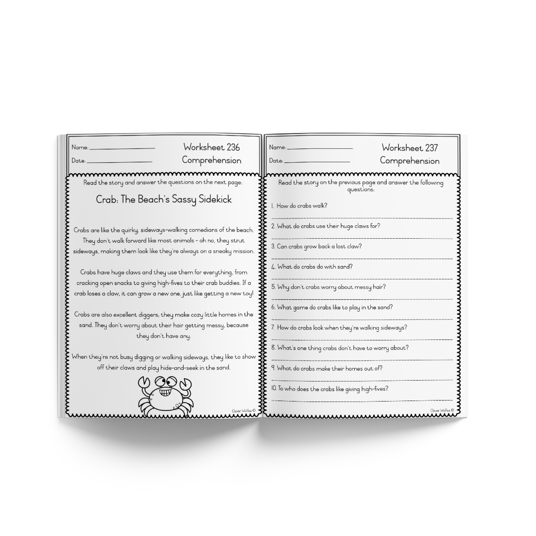 Grade 3 Extra help book - Language - Image 13