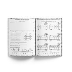 Alternative view of Grade 1 Mathematics Term 4