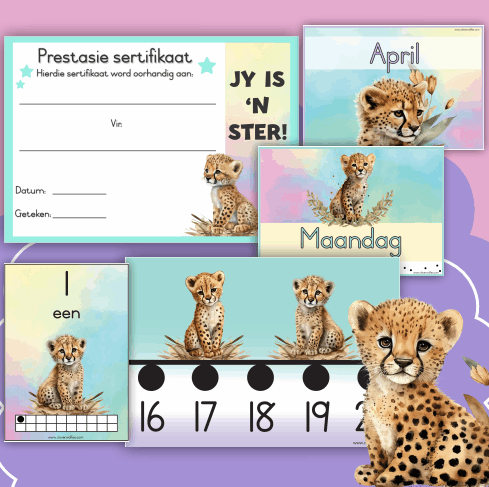 Jagluiperd Klastema - Kleuterskool - Image 2