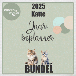2025 Jaarbeplanner BUNDEL - Katte