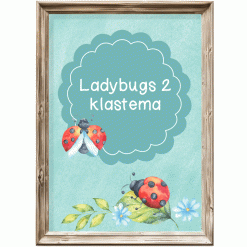 Klastema - ladybugs 2
