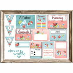 Alternative view of Klastema - ladybugs 2