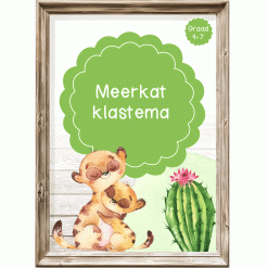 Intermediêre Klastema - Meerkat