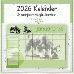 Miniature Schnauzers kalender 2026