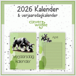 Alternative view of Miniature Schnauzers kalender 2026