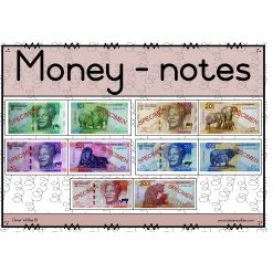 Alternative view of New money posters