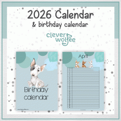 Alternative view of Bull Terriers calendar 2026