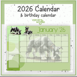 Miniature Schnauzers calendar 2026