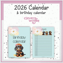 Alternative view of Dachshaund calendar 2026