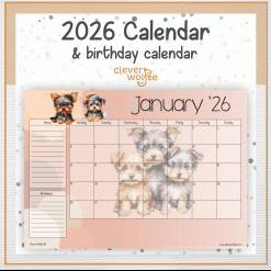 Yorkies calendar 2026