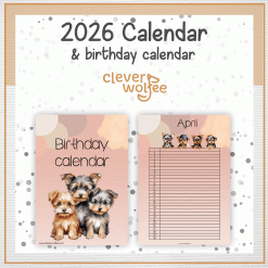 Alternative view of Yorkies calendar 2026