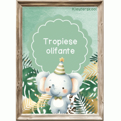 Tropiese safari olifante Klastema - Kleuterskool