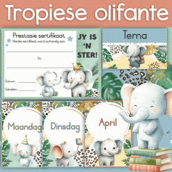Alternative view of Tropical safari elephants class theme – Preschool