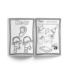 Alternative view of My 5 senses