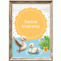 Klastema - swane