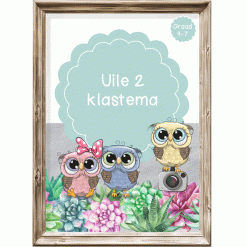 Intermediêre Klastema - Uile 2