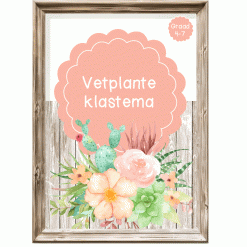 Intermediêre Klastema - Vetplante