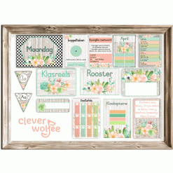 Alternative view of Intermediêre Klastema - Vetplante