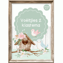 Intermediêre Klastema - Voëltjies 2