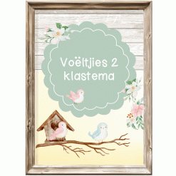 Klastema - voëltjies 2