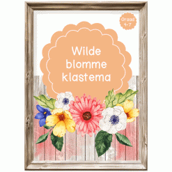Intermediêre Klastema - Wilde Blomme