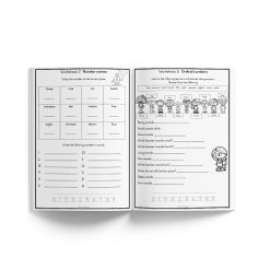 Alternative view of Grade 2 Mathematics Term 1